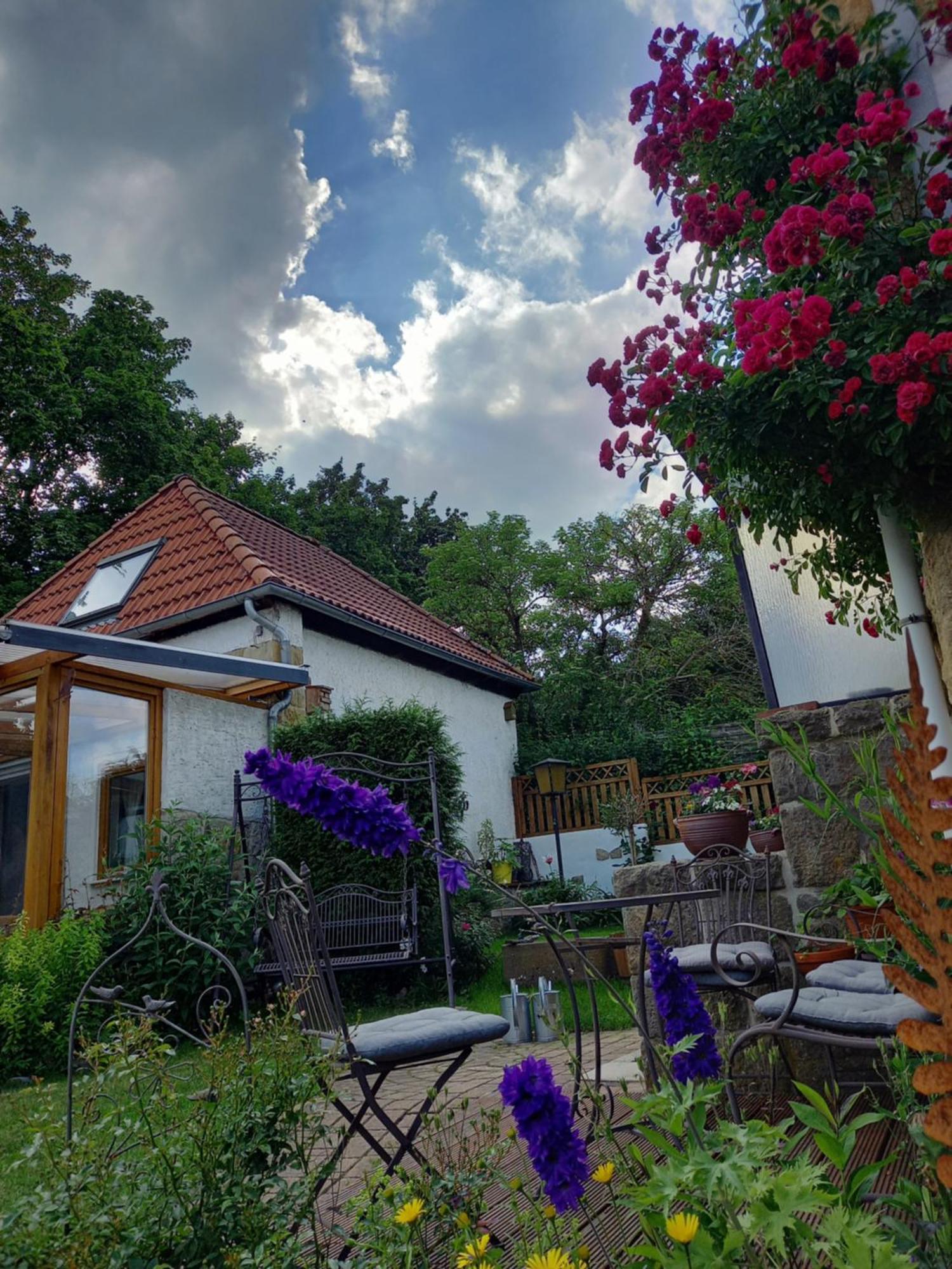Elfenhaeuschen Mit 3 Dtv Sternen Ausgezeichnet Villa Bad Harzburg Exterior photo