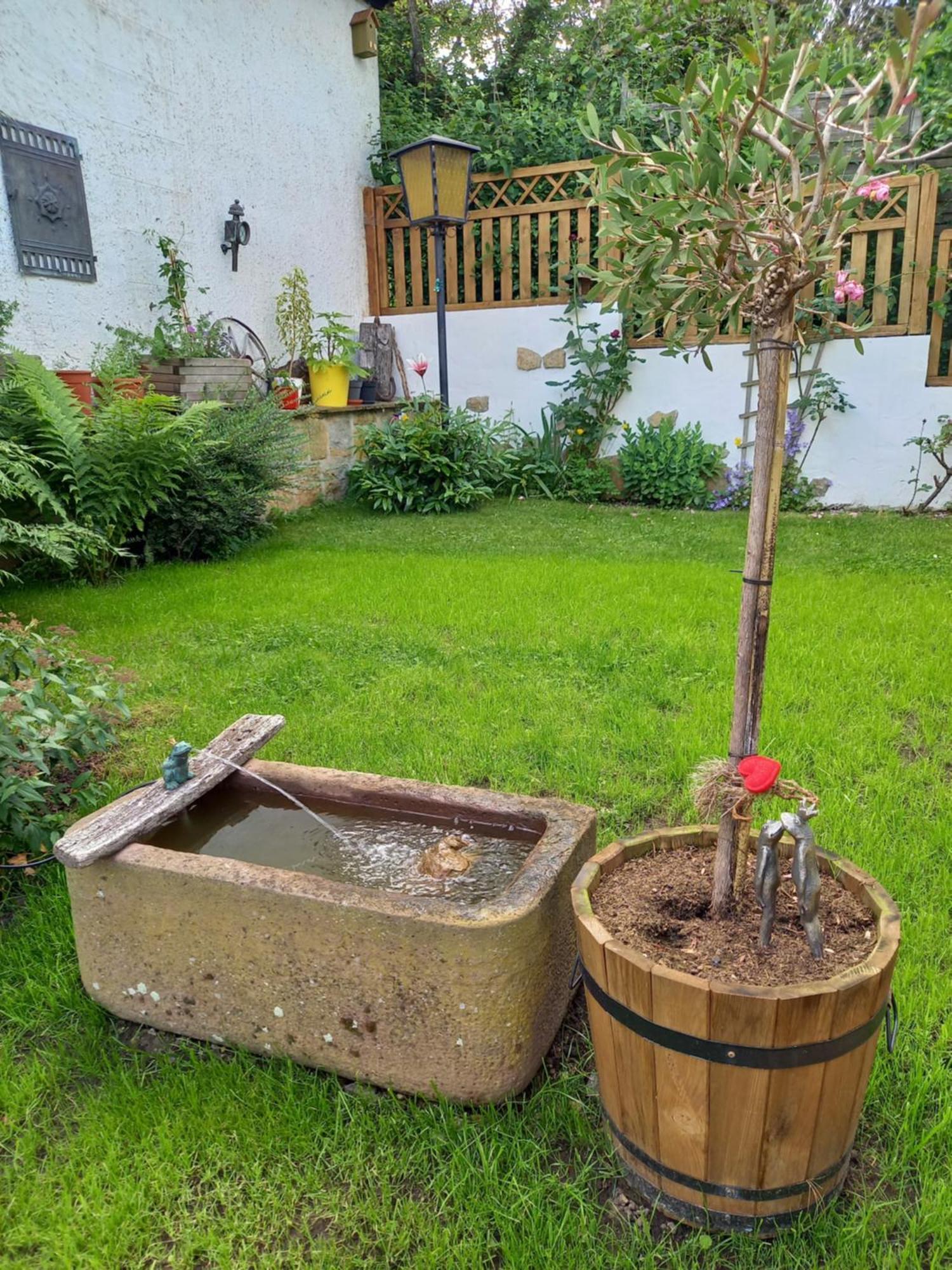 Elfenhaeuschen Mit 3 Dtv Sternen Ausgezeichnet Villa Bad Harzburg Exterior photo