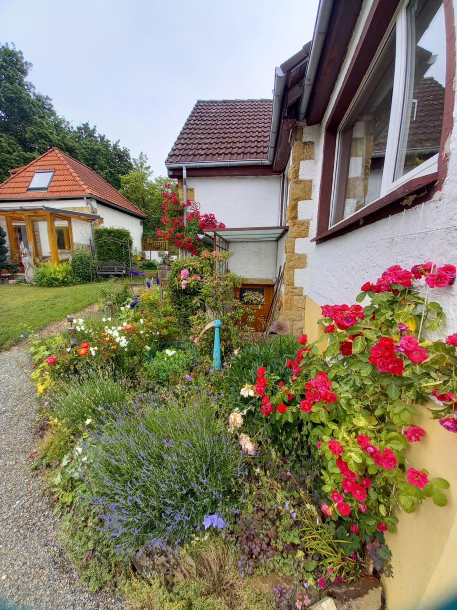 Elfenhaeuschen Mit 3 Dtv Sternen Ausgezeichnet Villa Bad Harzburg Exterior photo